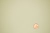 Light Filtering Roller Shade Fabric